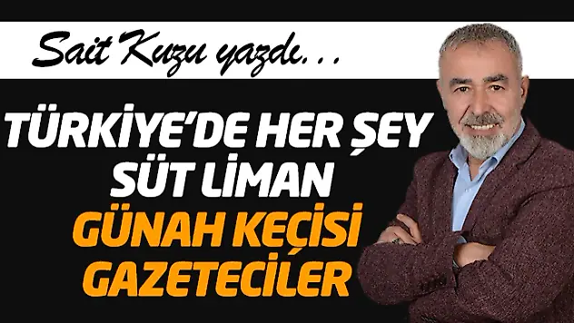 Türkiye'de Her Şey Süt Liman, Günah Keçisi Gazeteciler