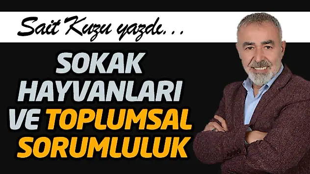 Sokak Hayvanları Ve Toplumsal Sorumluluk