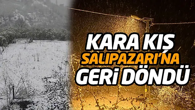 Kar Salıpazarı'na Geri Döndü