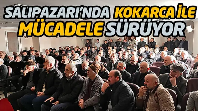 Salıpazarı'nda Kahverengi Kokarca İle Mücadele Sürüyor