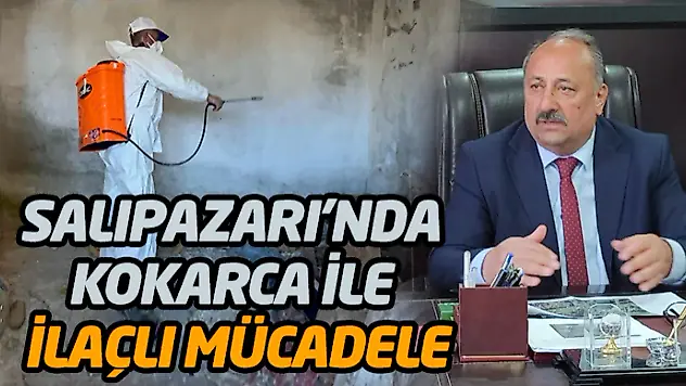 Salıpazarı'nda Kokarca İle İlaçlı Mücadele