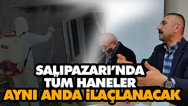 Salıpazarı'nda Tüm Haneler Aynı Anda İlaçlanacak