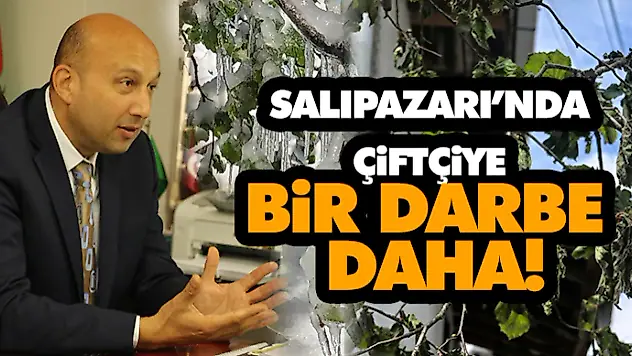 Salıpazarı'nda Çiftçiye Bir Darbe Daha!