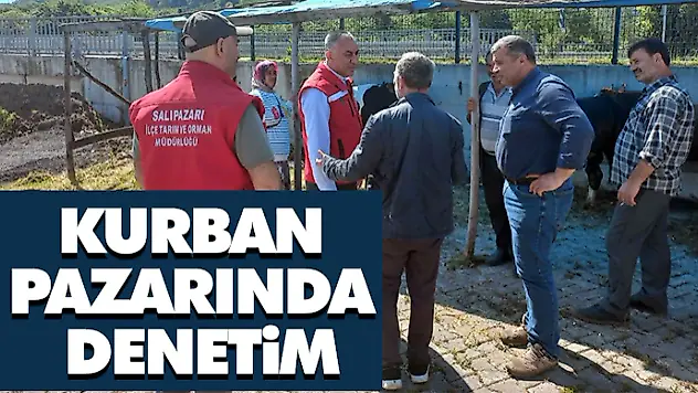 Kurban Pazarında Denetim