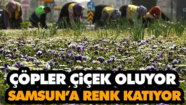 Çöpler Çiçek Oluyor, Samsun'a Renk Katıyor