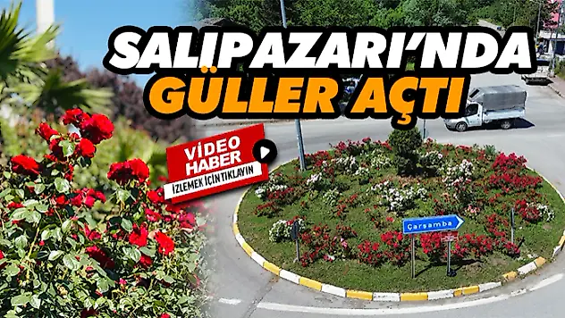 Salıpazarı'nda Güller Açtı