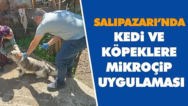 Salıpazarı'nda Kedi ve Köpeklere Mikroçip Uygulaması