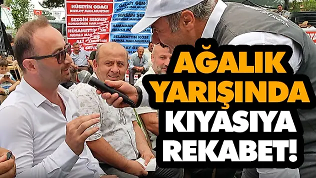 Ağalık Yarışında Kıyasıya Rekabet!
