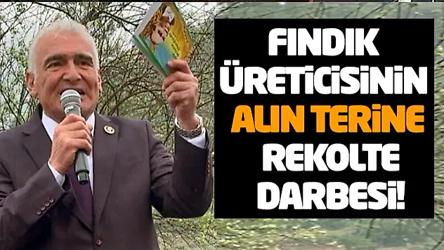 Fındık Üreticisinin Alın Terine Rekolte Darbesi!