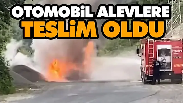 Otomobil Alevlere Teslim Oldu