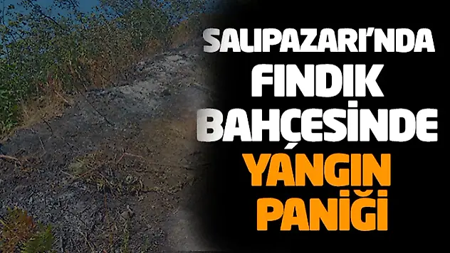 Salıpazarı'nda Fındık Bahçesinde Yangın Paniği
