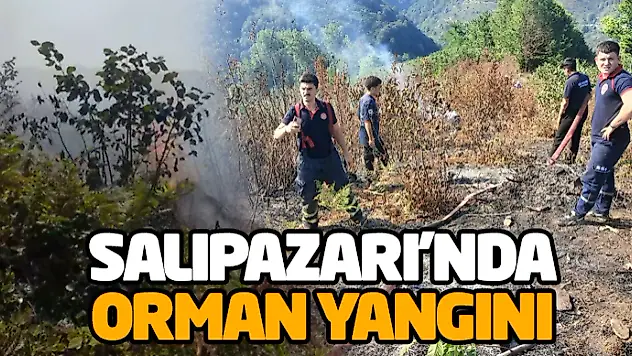 Salıpazarı'nda Orman Yangını