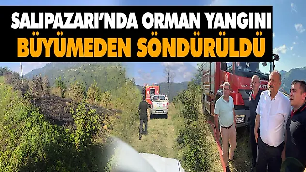Salıpazarı'nda Orman Yangını Büyümeden Söndürüldü