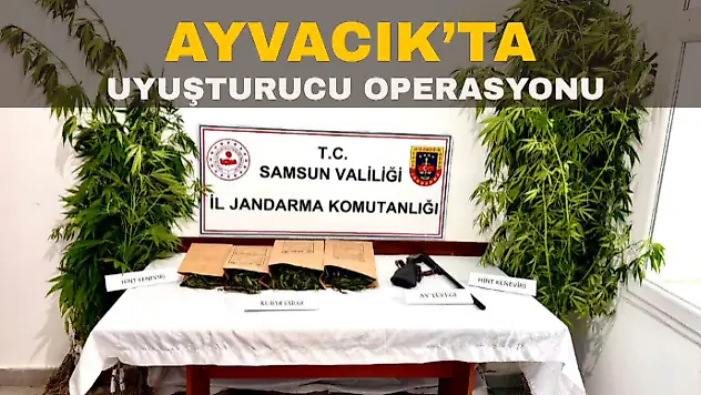 AYVACIK'TA UYUŞTURUCU OPERASYONU