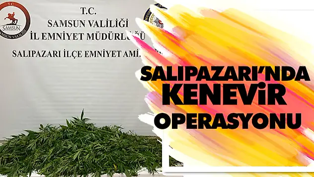Salıpazarı'nda Kenevir Operasyonu