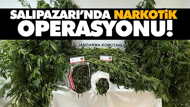 Salıpazarı'nda Narkotik Operasyonu!