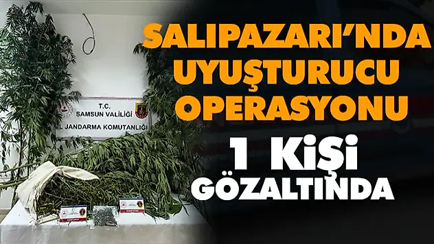 Salıpazarı'nda Uyuşturucu Operasyonu: 1 Kişi Gözaltına Alındı