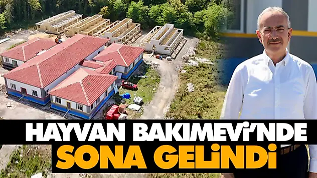 Çarşamba Hayvan Bakımevi'nde Sona Gelindi