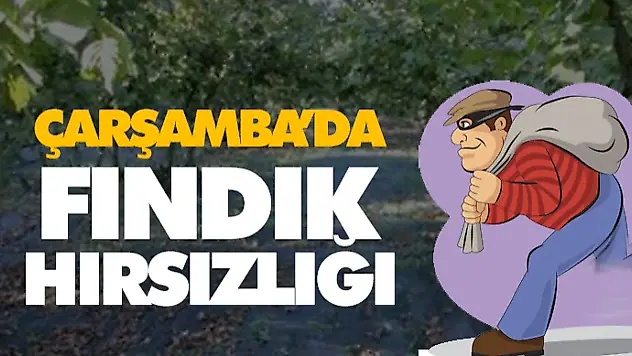 Çarşamba'da Fındık Hırsızlığı