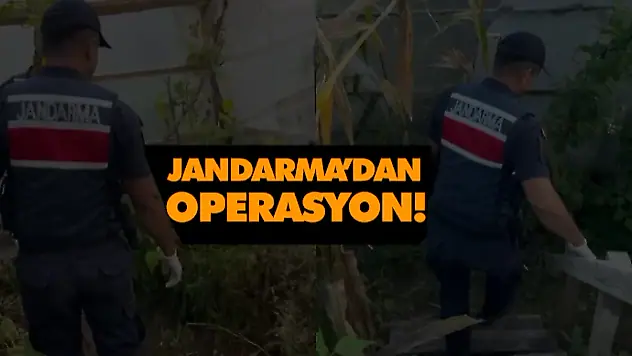 Jandarma'dan Operasyon!