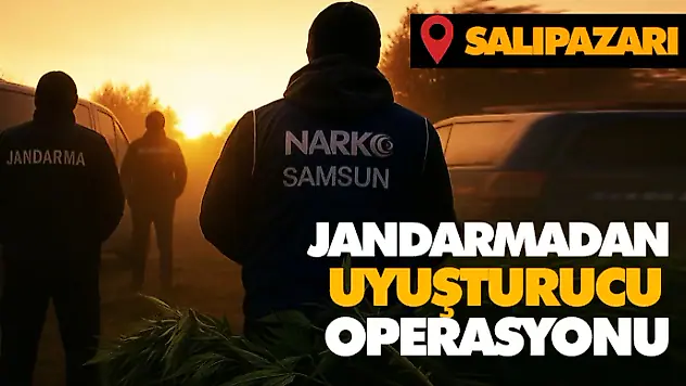 Jandarmadan Uyuşturucu Operasyonu