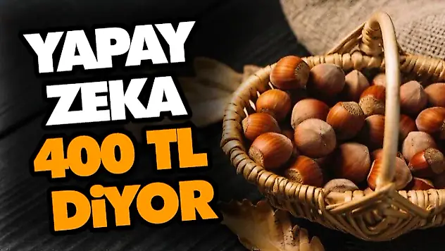 Yapay Zeka 400 TL Diyor