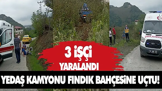 Yedaş'a Ait Kamyon Fındık Bahçesine Uçtu! 3 İşçi Yaralandı