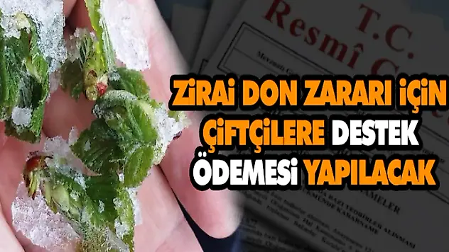 Zirai Don Zararı İçin Çiftçilere Destek Ödemesi Yapılacak