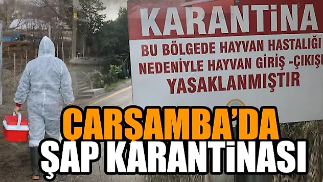 Çarşamba'da Şap Karantinası