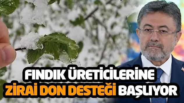 Fındık Üreticilerine Zirai Don Desteği Başlıyor