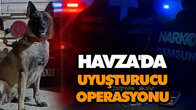 Havza'da Uyuşturucu Operasyonu
