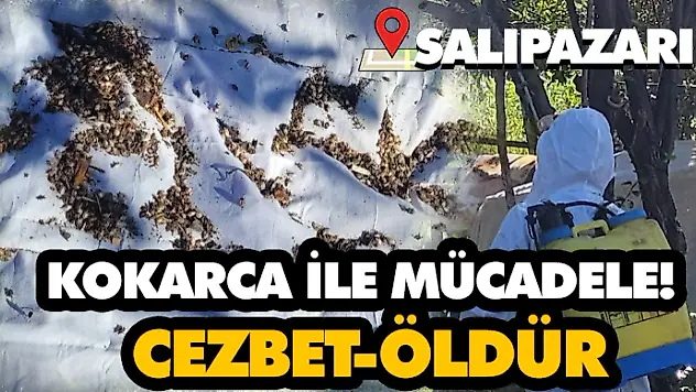 Kokarca İle Mücadele! Cezbet-Öldür