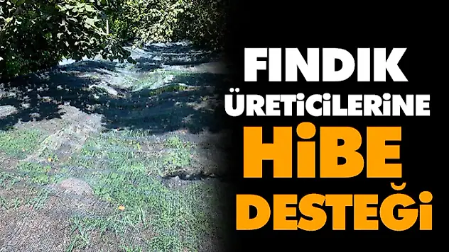 Fındık Üreticilerine Hibe Desteği