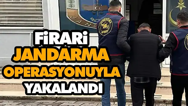 Firari Hükümlü Jandarma Operasyonuyla Yakalandı