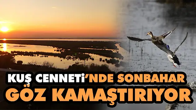 Kuş Cenneti'nde Sonbahar Göz Kamaştırıyor