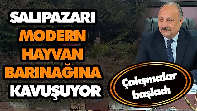 Salıpazarı Modern Hayvan Barınağına Kavuşuyor