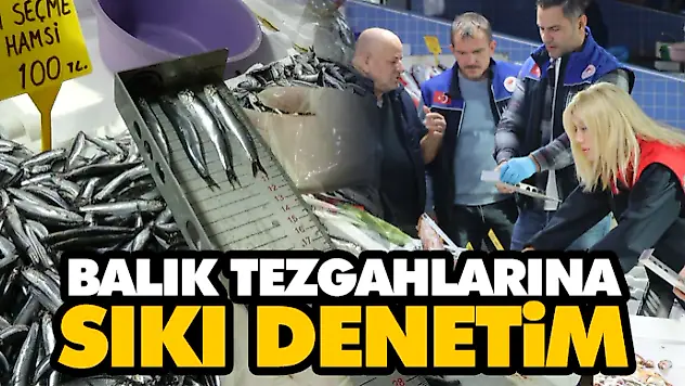 Samsun'da Av Sezonu Hızlandı: Yoğun Denetimler Aralıksız Sürüyor
