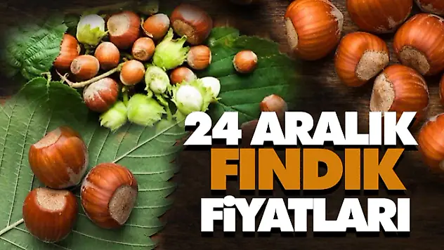 24 Aralık Fındık Fiyatları