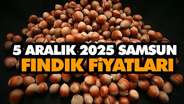 5 Aralık 2025 Samsun Fındık Fiyatları