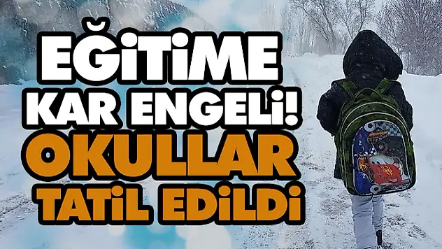 Eğitime Kar Engeli! Okullar Tatil Edildi
