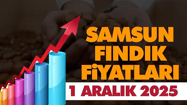 Samsun Fındık Fiyatları. 1 Aralık 2025