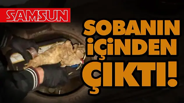 Sobanın İçinden Çıktı!