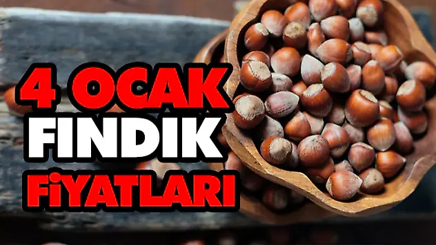 4 Ocak Fındık Fiyatları
