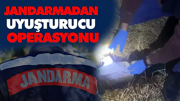 Jandarmadan Uyuşturucu Operasyonu