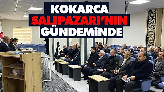 Kokarca Salıpazarı'nın Gündeminde