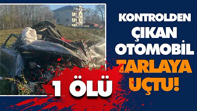 Kontrolden Çıkan Otomobil Tarlaya Uçtu: 1 Ölü