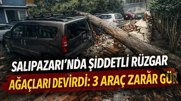 Salıpazarı'nda Şiddetli Rüzgâr Ağaçları Devirdi: 3 Araç Zarar Gördü