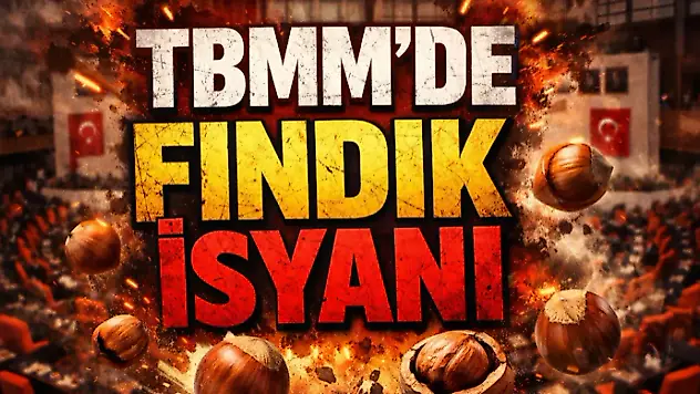 TBMM'de Fındık İsyanı