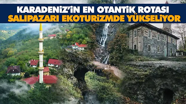 Karadeniz'in En Otantik Rotası: Salıpazarı Ekoturizmde Yükseliyor
