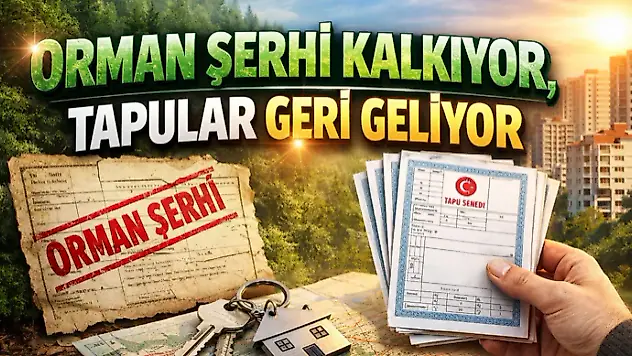 Orman Şerhi Kalkıyor, Tapular Geri Geliyor